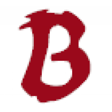 Avatar for Bogdan Virtosu from gravatar.com