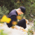 Avatar for sonkhuong from gravatar.com