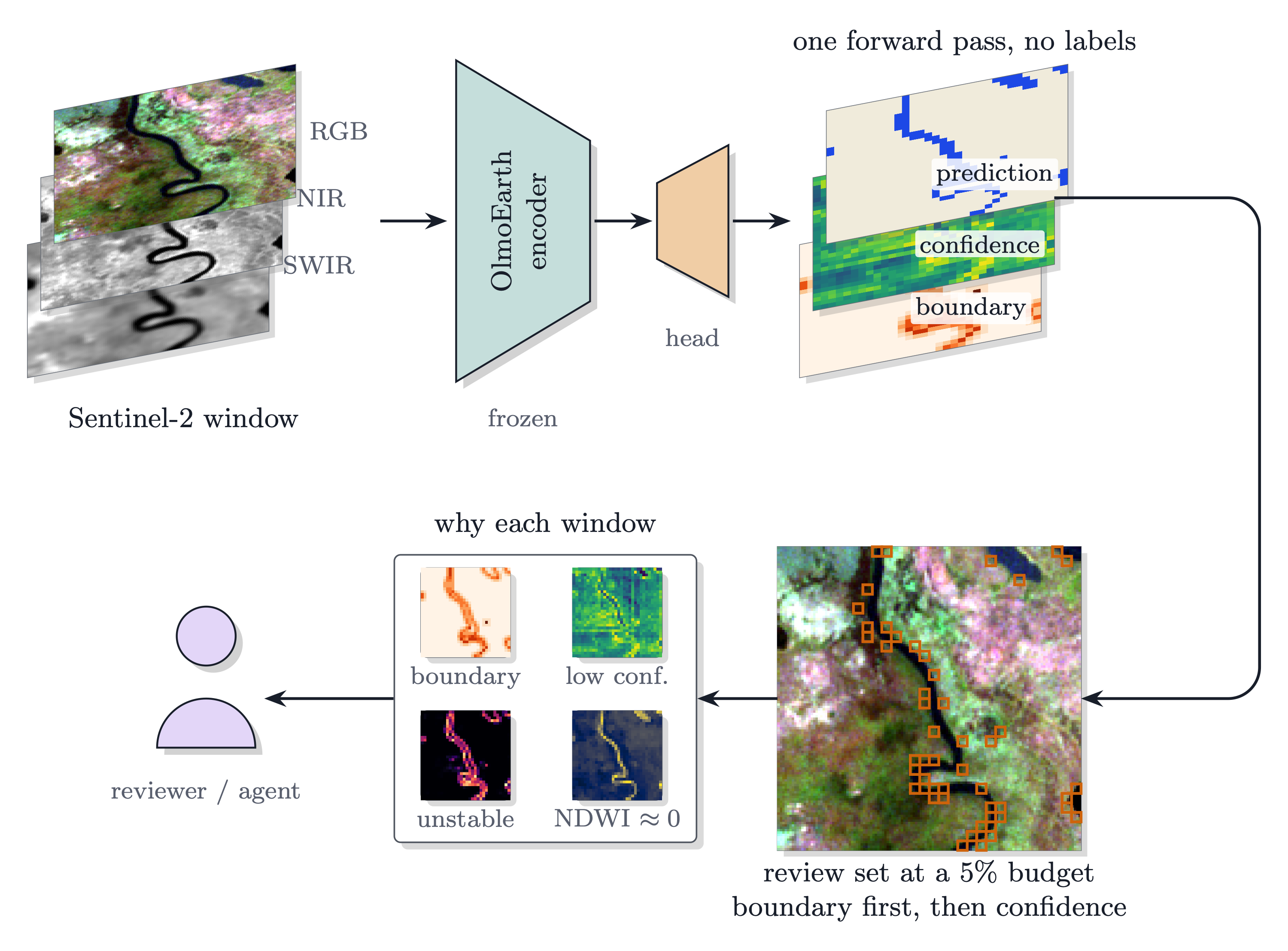 One scene through the assessment: Sentinel-2 bands, the frozen OlmoEarth encoder and the task head, the prediction, confidence and boundary layers, the review set at a 5% budget drawn on the scene, and the cues per flagged window