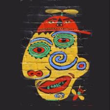 Avatar for Dr.Pete from gravatar.com