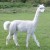 Avatar for vixues from gravatar.com