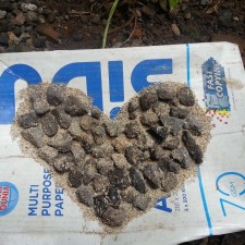 Avatar for Muhammad Ihfazhillah from gravatar.com