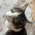 Avatar for Sque-ak from gravatar.com