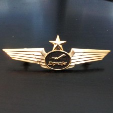 Avatar for Casey Webster from gravatar.com