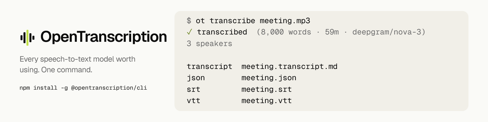 OpenTranscription. Every speech-to-text model worth using. One command.