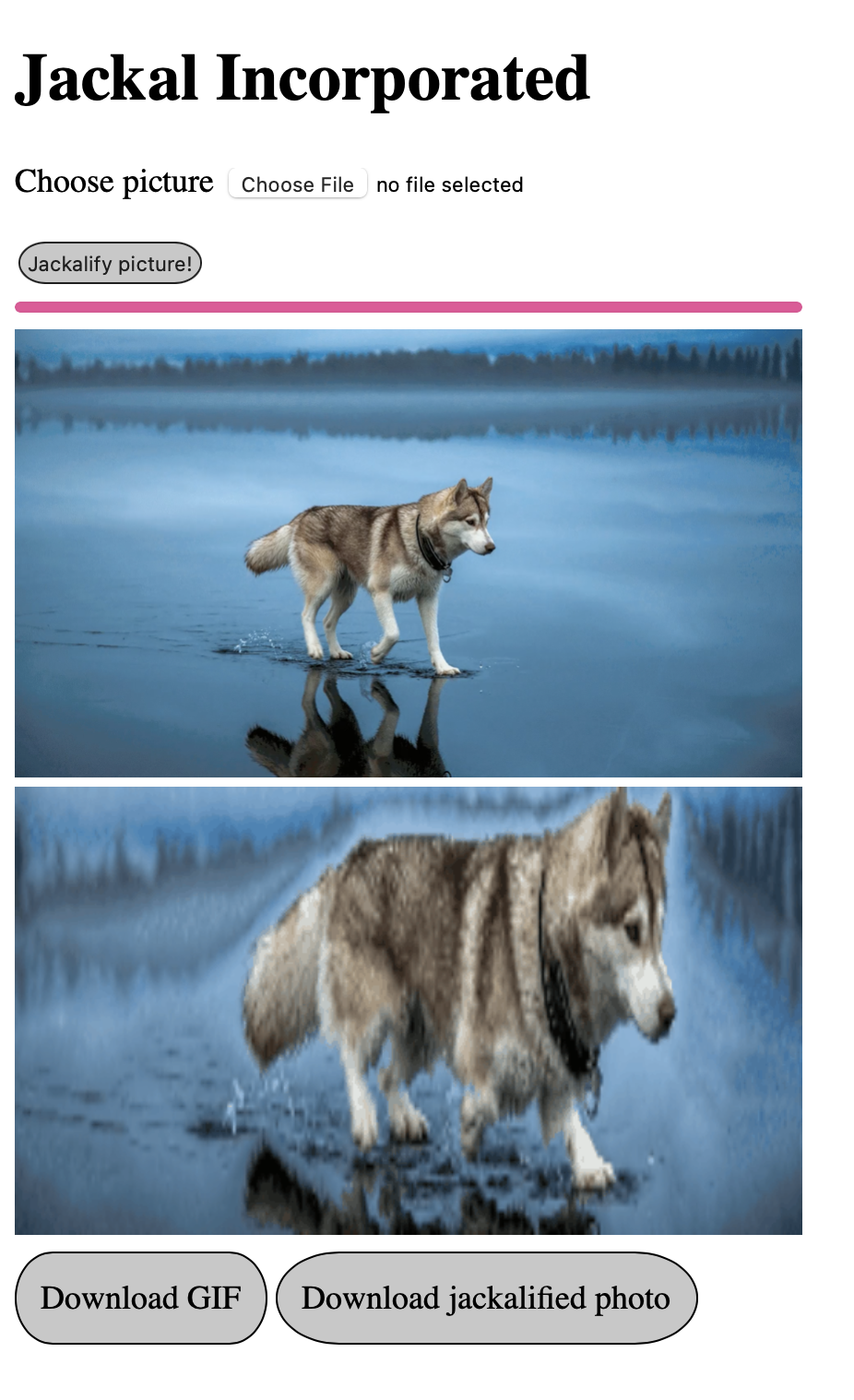 https://raw.githubusercontent.com/Sea-Bottle/Sea-Bottle-Jackal/master/examples/result.png
