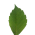 Avatar for luckyshiR from gravatar.com