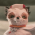 Avatar for margaretjgu from gravatar.com