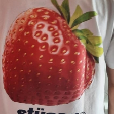 Avatar for Bastien from gravatar.com