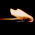 Avatar for ignas654 from gravatar.com