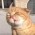 Avatar for angrybayblade from gravatar.com
