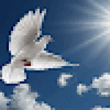 Avatar for Liqueri Reno from gravatar.com