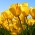 Avatar for ljm625 from gravatar.com