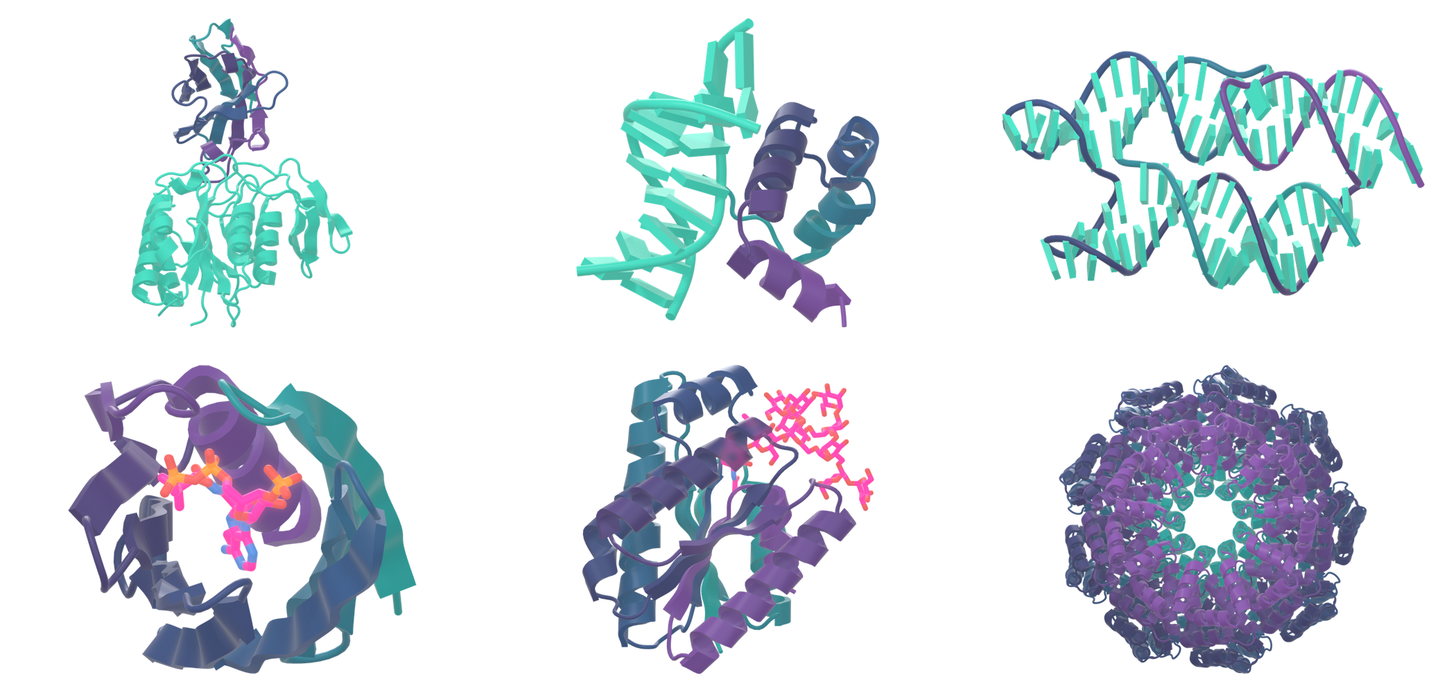 Nanobody complex, protein–DNA binder, RNA pseudoknot, ligand pocket, glycan complex, and protein assembly.