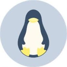 Avatar for Yahel Agassi from gravatar.com