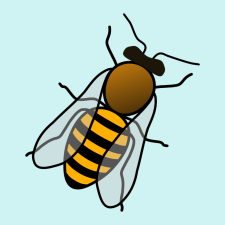 Avatar for George Pchelkin from gravatar.com