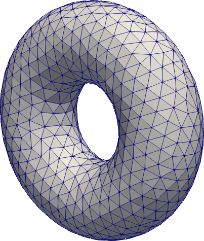 Torus