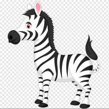 Avatar for Matheus Tosta from gravatar.com