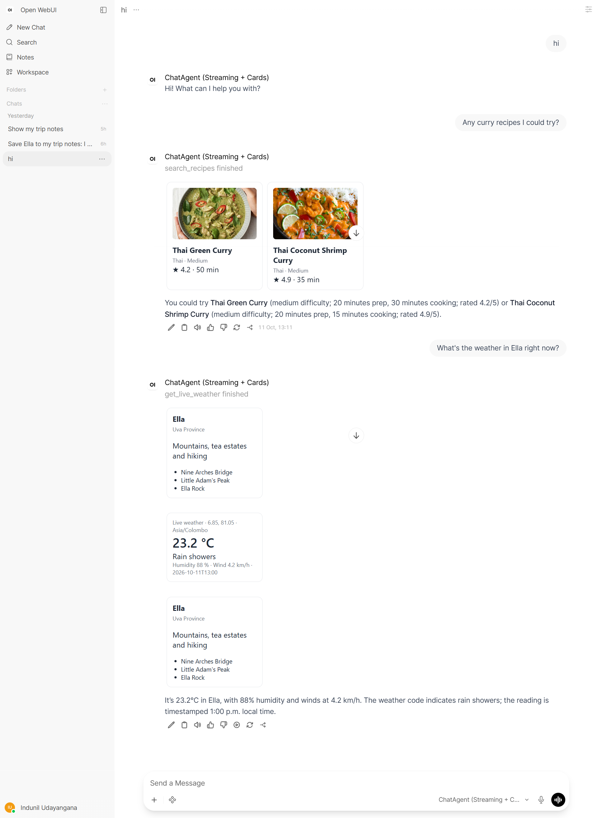 Open WebUI example