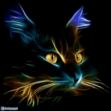 Avatar for AnonimPython from gravatar.com