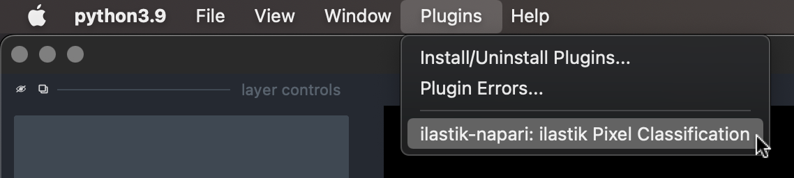 Activate the plugin