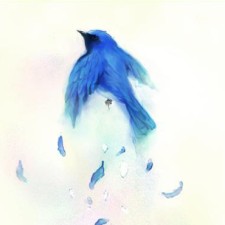 Avatar for anemone from gravatar.com