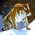 Avatar for AlexanderMakarov from gravatar.com