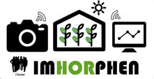 IMHORPHEN