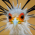Avatar for craig8 from gravatar.com