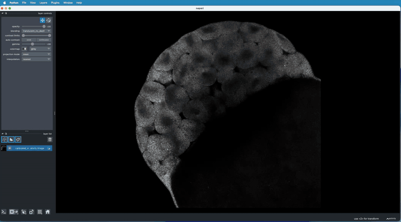 automatic_clustering