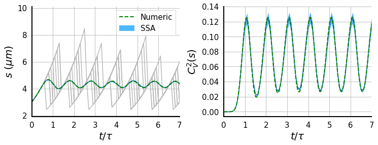 SizeStatistics