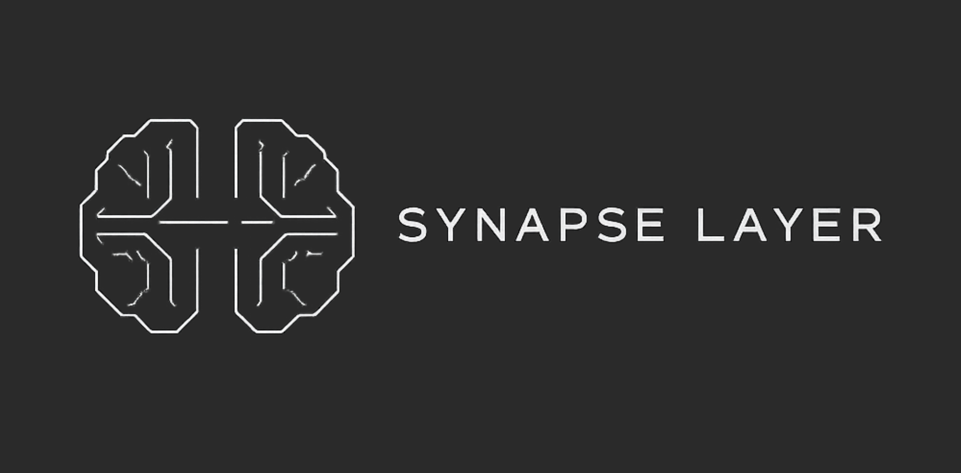 Synapse Layer Logo