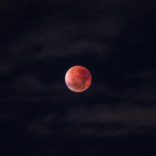 Avatar for vejskvit from gravatar.com