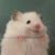 Avatar for zergzzlun from gravatar.com