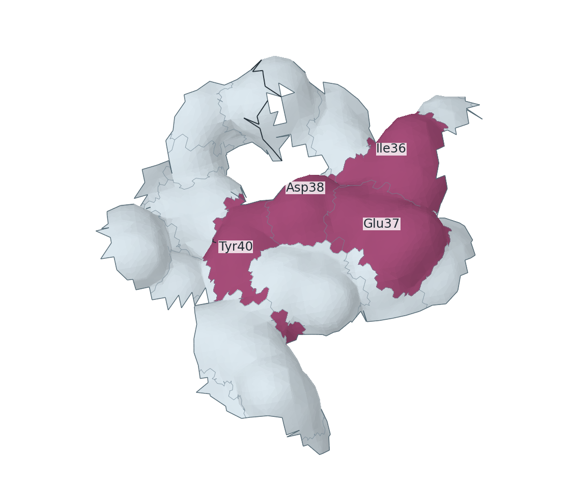 The same residue regions on the curved three-dimensional interface