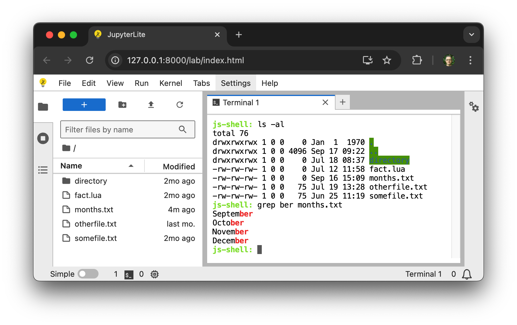 a screenshot showing a terminal running in JupyterLite