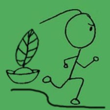 Avatar for yejingx from gravatar.com