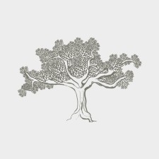 Avatar for Innove from gravatar.com