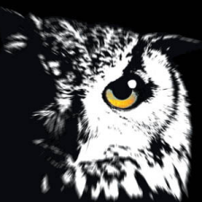 Avatar for fukuroh from gravatar.com