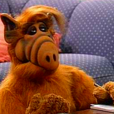 Avatar for Marcos Martínez from gravatar.com