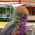 Avatar for erudin from gravatar.com
