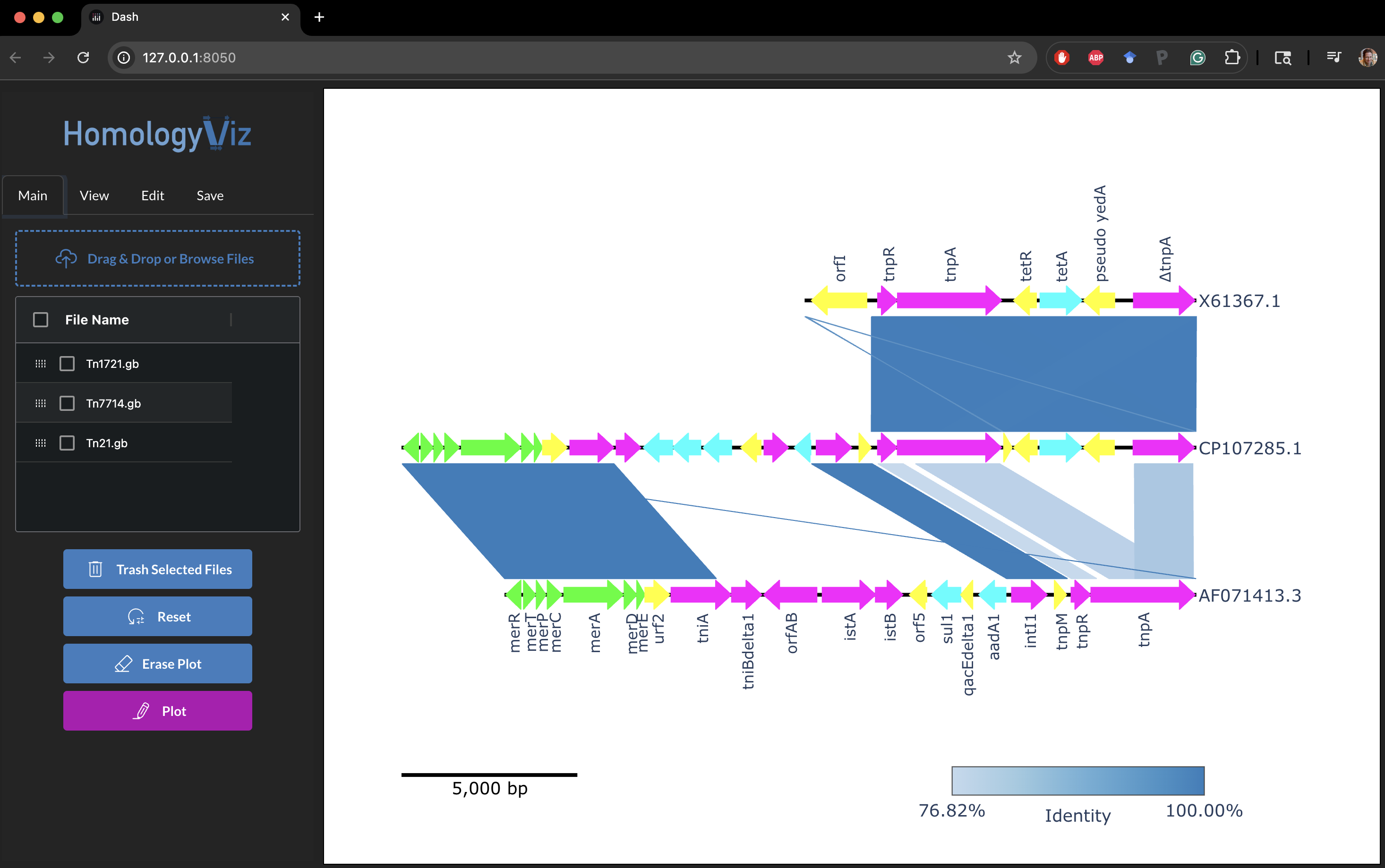 HomologyViz