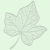 Avatar for ivybiosciences from gravatar.com