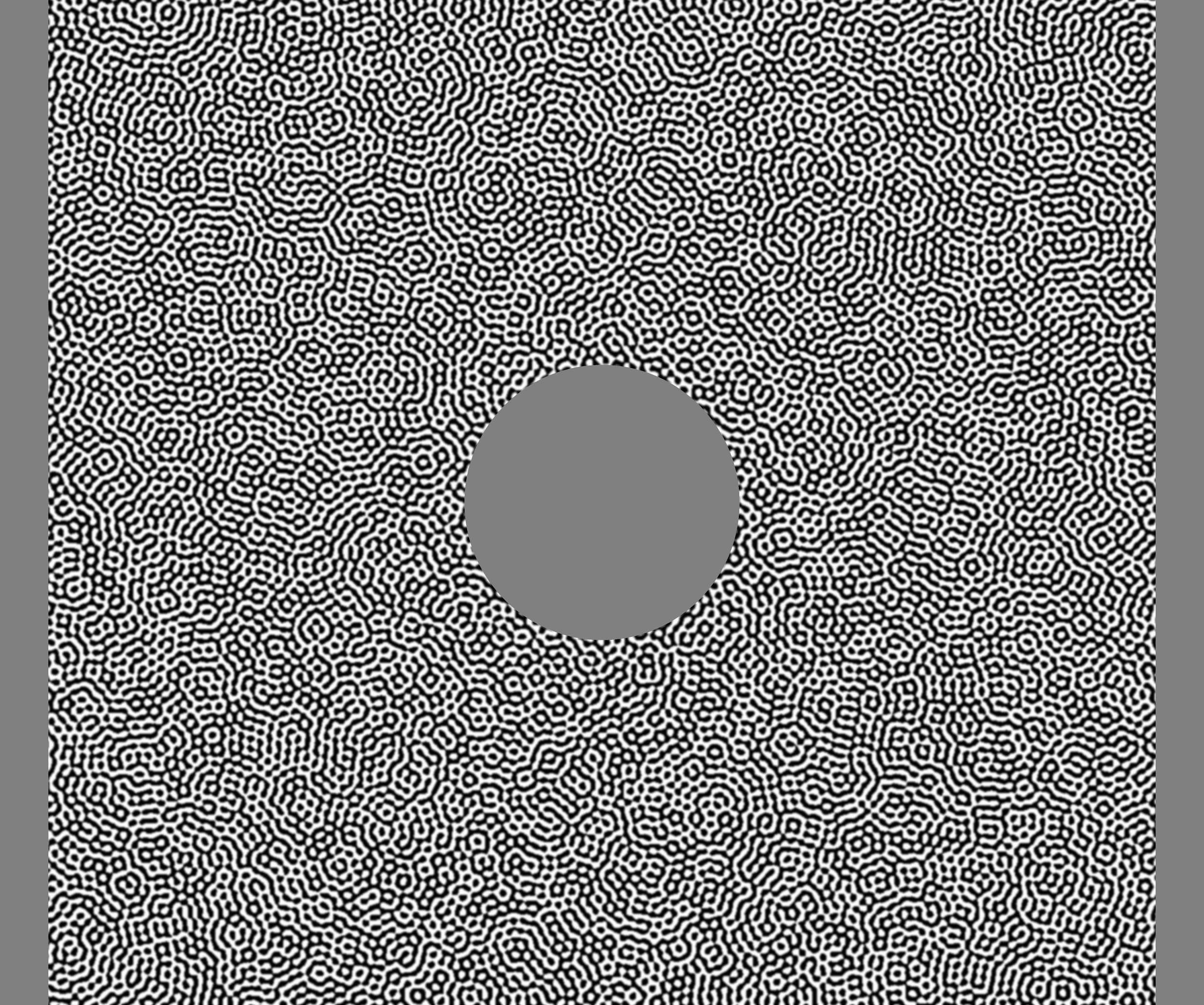 DIC Camera 0