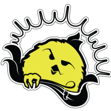 Avatar for Corey Lane from gravatar.com