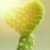 Avatar for tinycen from gravatar.com