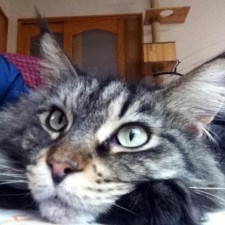 Avatar for Naoya Yamashita from gravatar.com