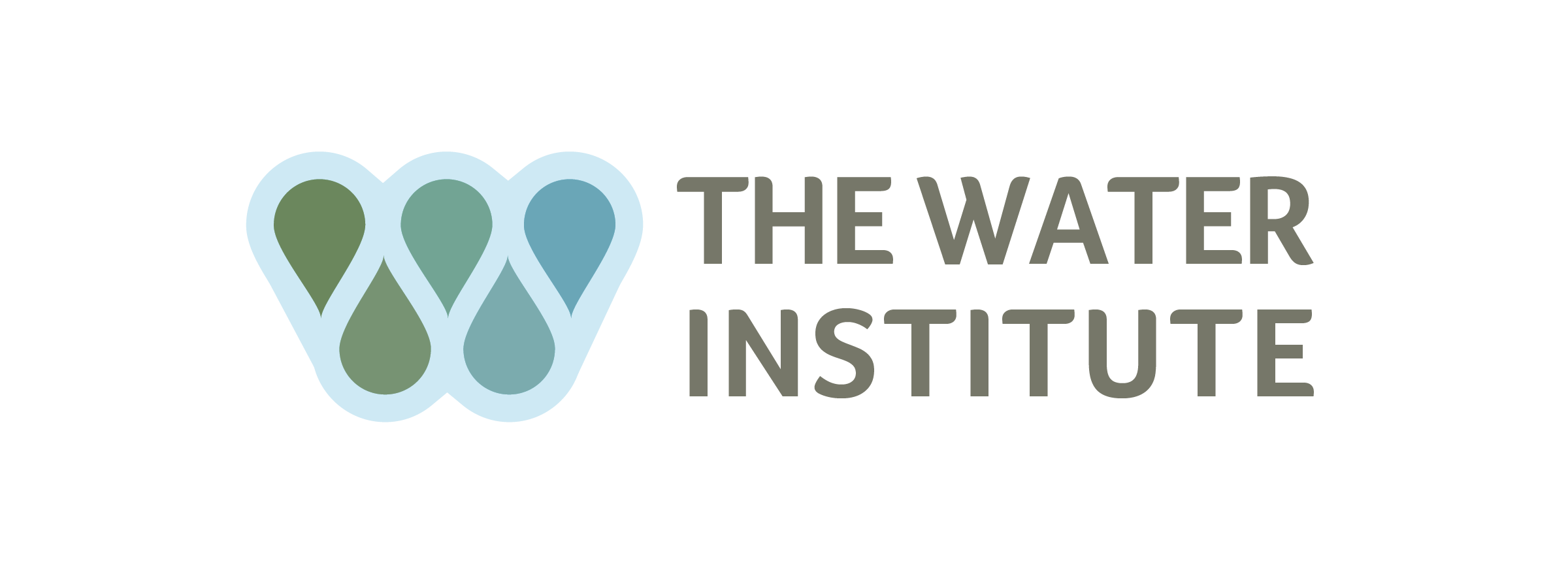 The Water Institute
