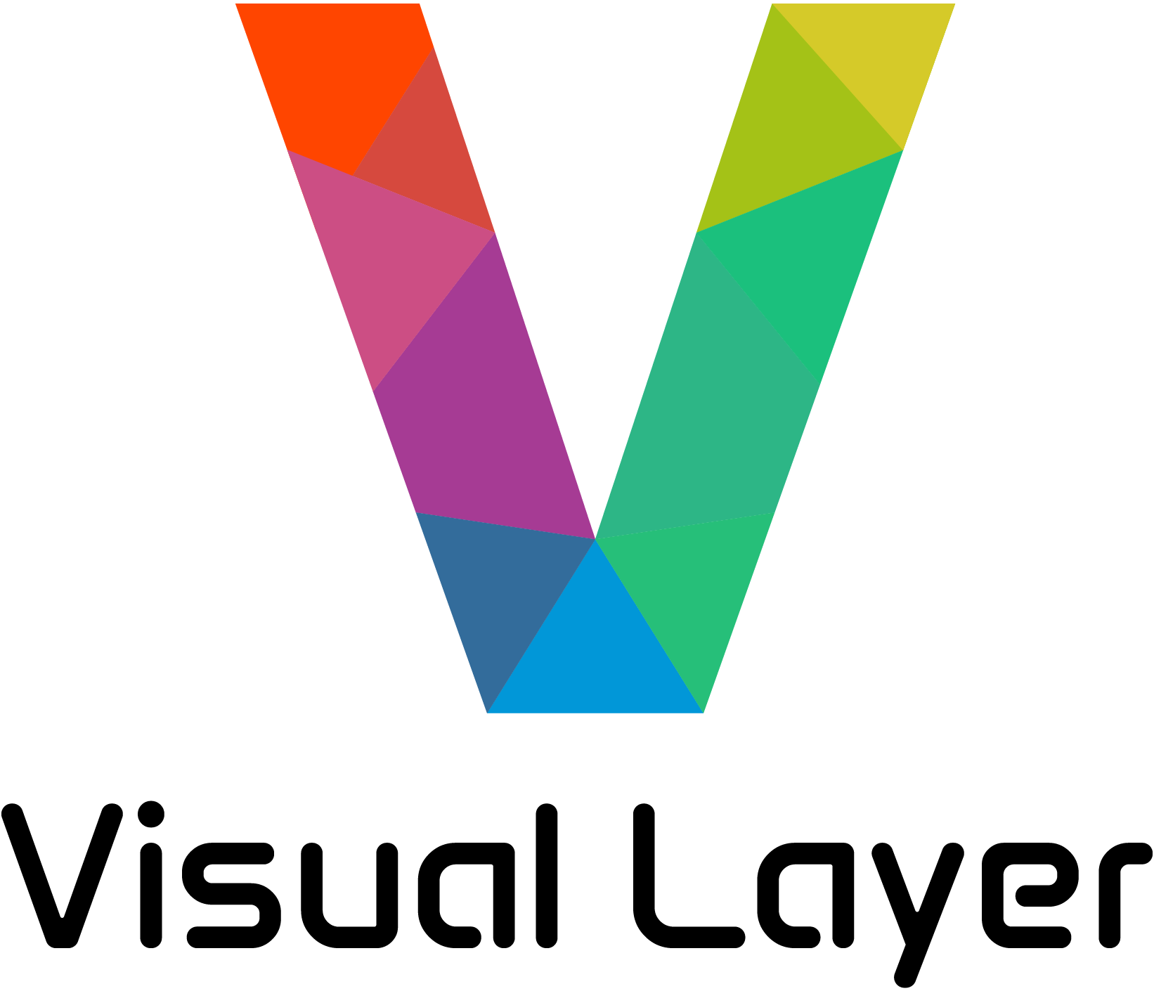 Visual Layer Logo