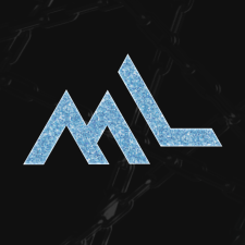 Avatar for Manuel Lerchner from gravatar.com